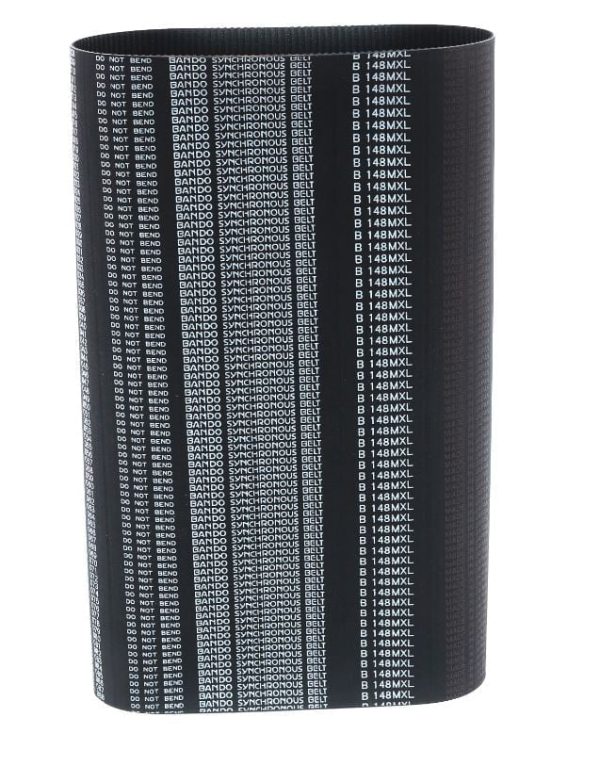 MXL XL L H XH XXH - Ảnh 3