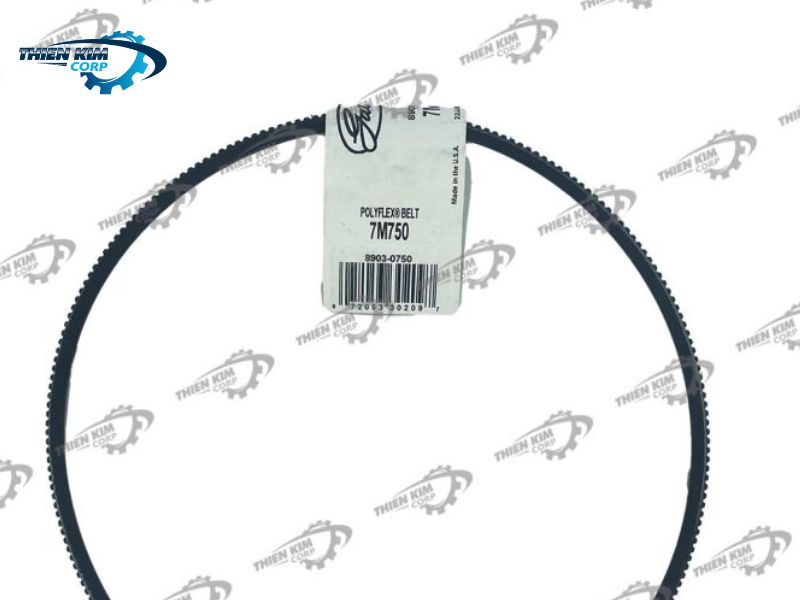 Sản Phẩm Dây Curoa Gates Banflex 7M750