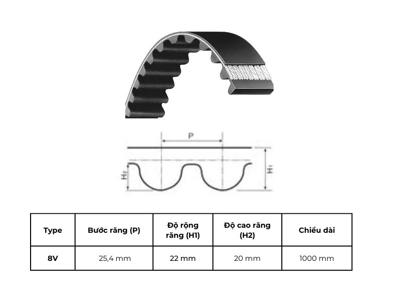 dây Curoa 1000 8V