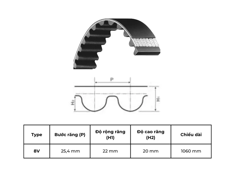 Dây Curoa 1060 8V