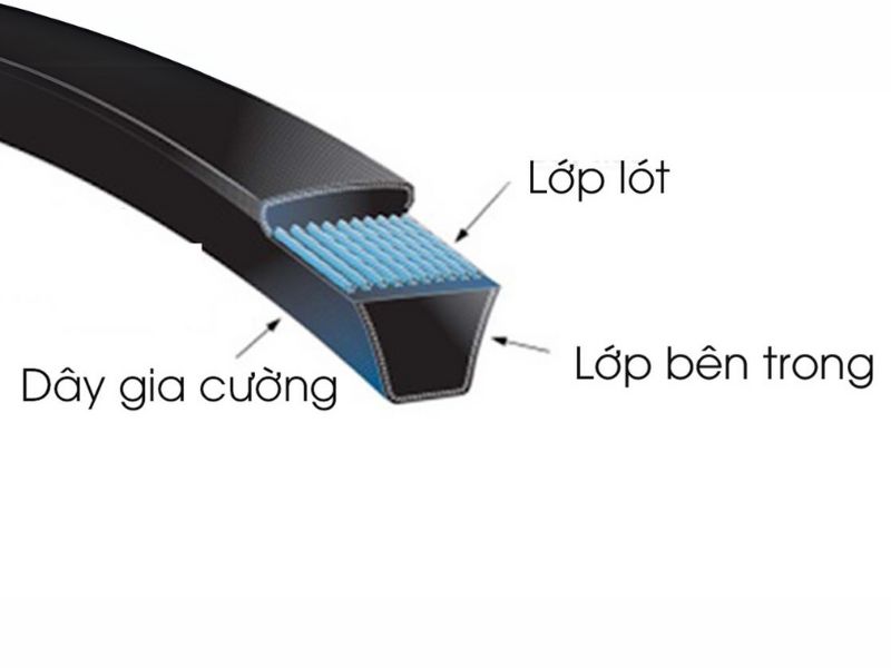 Cấu Tạo Của Dây Curoa