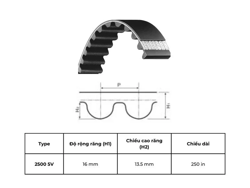 Dây Curoa 2500 5V